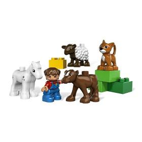 Bild på Lego Duplo - Smådjursgård 5646