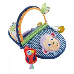 Bild på Fisher-Price - Monkey Mirror