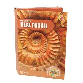 Bild på Keycraft, Fossil Dig Kit