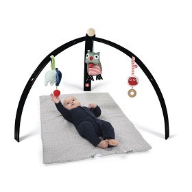 Bild på Franck & Fischer Babygym i trä (Svart)