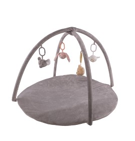 Bild på Babygym Djur