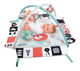 Bild på Clementoni Babygym (Svart och Vit)
