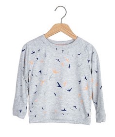 Bild på ebbe Dimsey Tröja (Peach Blue)