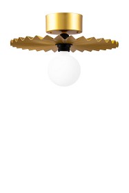 Bild på Globen Lighting Plafond/Vägg Omega 35 Borstad Mässing