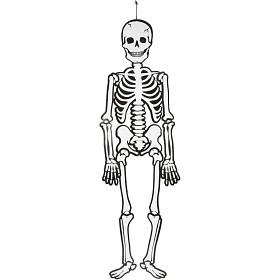 Bild på Halloween Skelett (Självlysande)