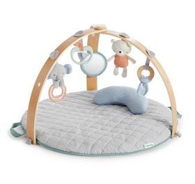 Bild på Ingenuity Babygym Vändbart