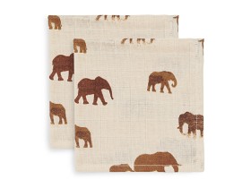 Bild på Jollein Muslinfilt 115x115cm Meadow 2-pack (Savannah)
