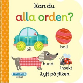 Bild på Kärnan Flikbok Kan du alla orden?