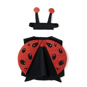 Bild på Kids Concept Dress-Up Nyckelpiga