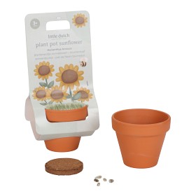 Bild på Little Dutch Odlingskit Sunflower