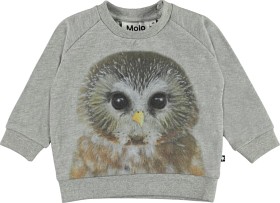 Bild på Molo Disco Sweatshirt Baby Owl (Grå)