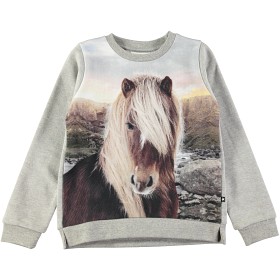 Bild på Molo Marlee Tröja Icelandic Horse (92)