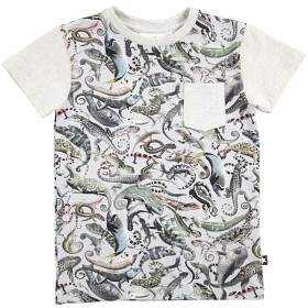 Bild på Molo Roman T-shirt Entangled