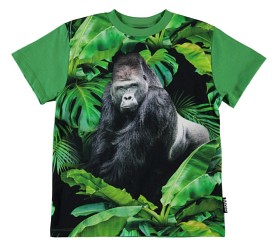 Bild på Molo Roxo T-shirts (Gorilla)