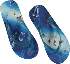 Bild på Molo Zeppo Flip Flops (Above Ocean)