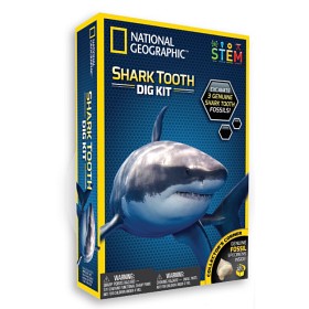 Bild på National Geographic Shark Tooth Dig Kit