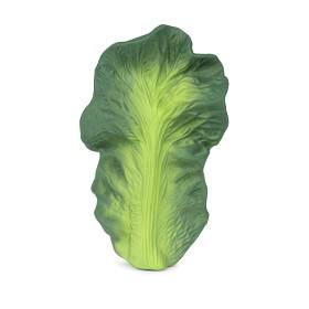 Bild på Oli & Carol Bitleksak Kendall the Kale