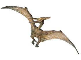 Bild på Papo Pteranodon