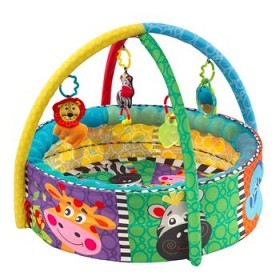 Bild på Playgro Babygym med bollar