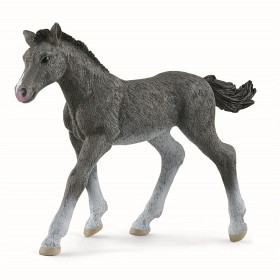 Bild på Schleich Horse Club 13944 Trakehnareföl