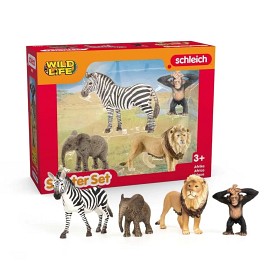 Bild på Schleich Wild Life Africa Startset