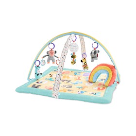 Bild på Skip Hop ABC&Me Babygym