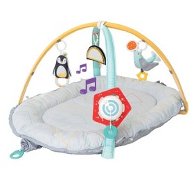 Bild på Taf Toys Babygym Musical