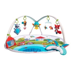 Bild på Tiny Love Meadow Days Rainbow Babygym
