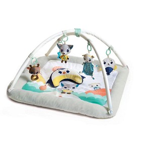 Bild på Tiny Love Plush Gymini Polar Wonders Babygym