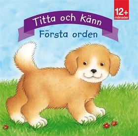 Bild på Titta och känn Första orden