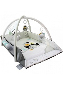 Bild på Tryco 5-i-1 Babygym med bollar (Uggla)
