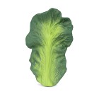 Oli & Carol Bitleksak Kendall the Kale