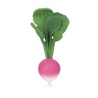 Oli & Carol Snuttefilt/Bitleksak Ramona the Radish