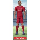 Macallister Samlarfigur