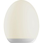 Star Trading Nattlampa Oval LED